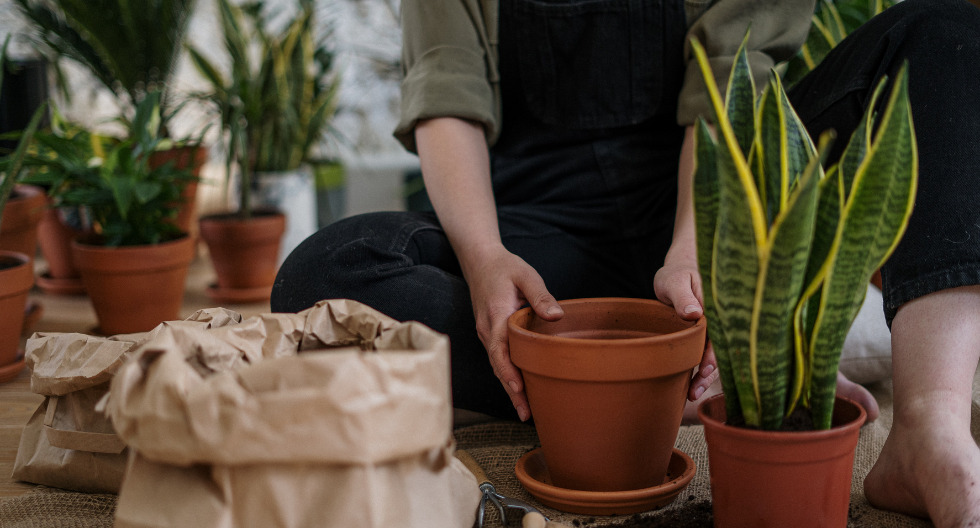 Día Mundial de la Tierra