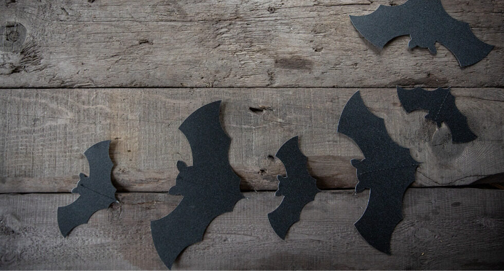 Qué significa soñar con murciélagos