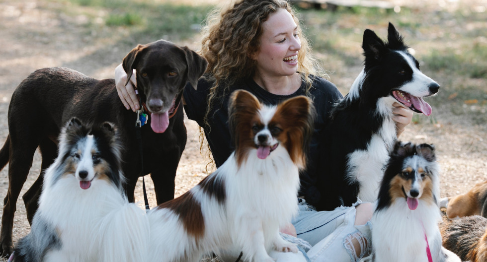 Día Mundial del Perro