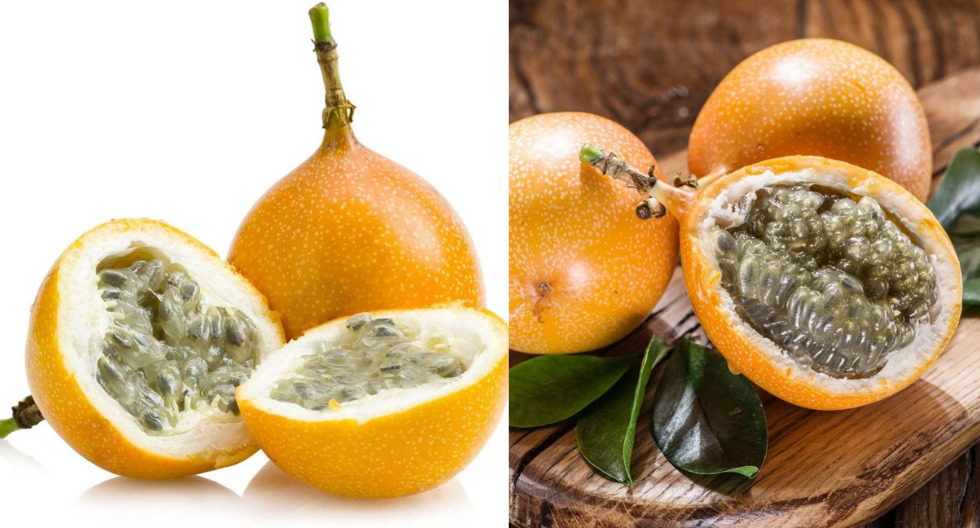 Granadilla
