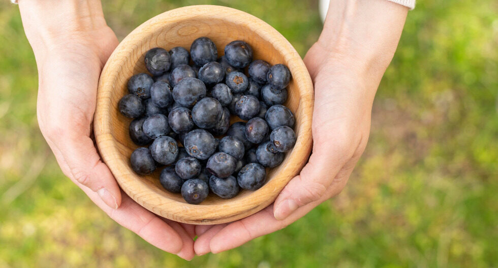 Alimentos para comer en verano