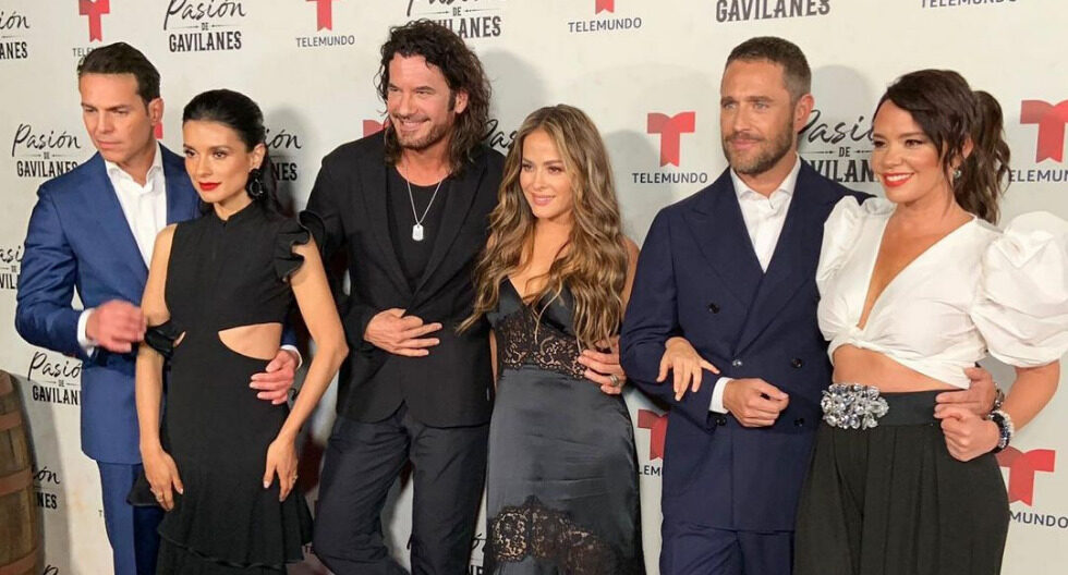 Pasión de gavilanes