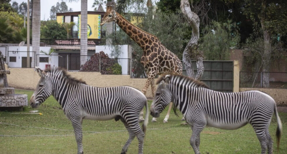 Parque de las Leyendas