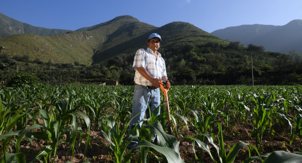 La inclusión financiera es un arma que ayuda a cerrar esas brechas en Perú.
