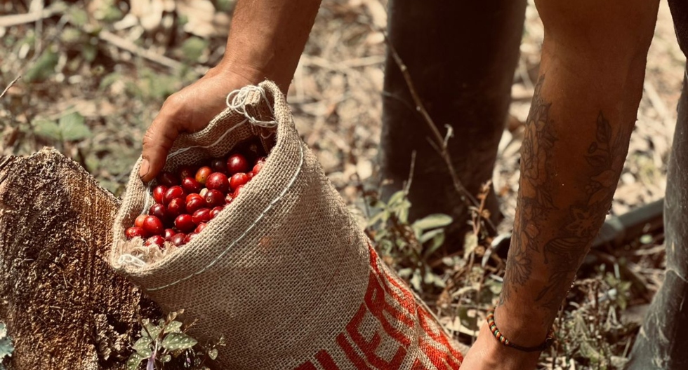 Villa Rica busca incentivar el consumo del café trayendo sus mejores productos a la capital.